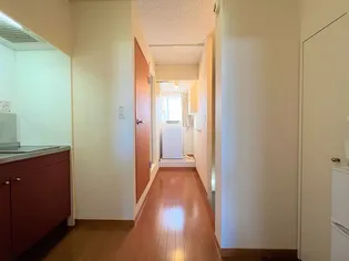 レオパレスペニンシュラT【206号室】のその他画像