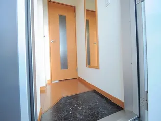 レオパレスシュエット【207号室】の玄関