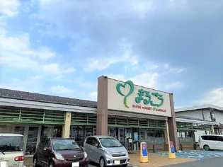 レオパレスU K N【208号室】の周辺