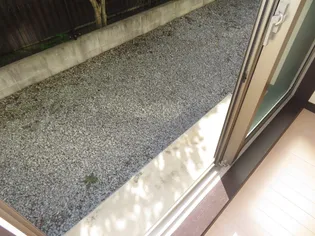 レオネクストコルデ【101号室】のその他画像