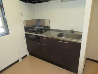 レオネクストコルデ【108号室】のキッチン