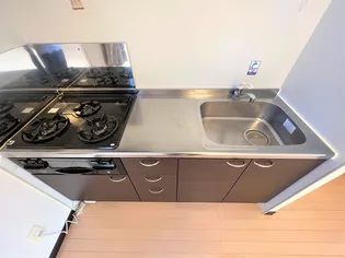 レオネクストコルデ【110号室】のキッチン