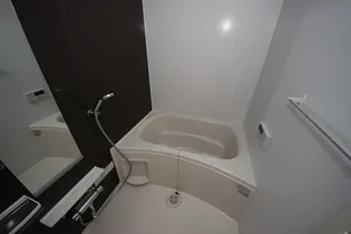 フォレスト・ハハキB【1階】の風呂