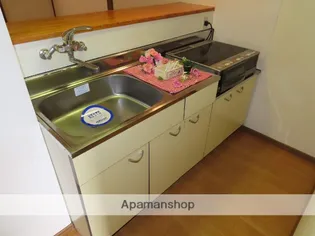 NEW FIT ⅩⅠ【205号室】のキッチン