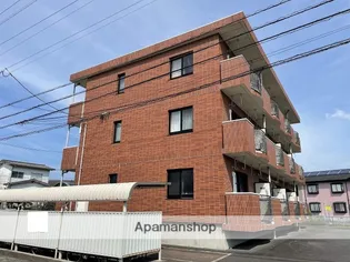 パルティーレの画像