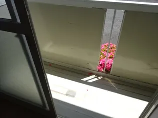 エピーメロン【1階】のその他画像