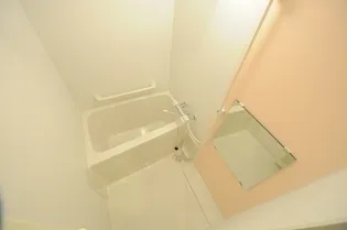 レオネクストステイシー【104号室】の風呂