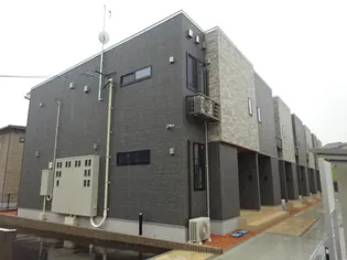 サンフラワーの画像