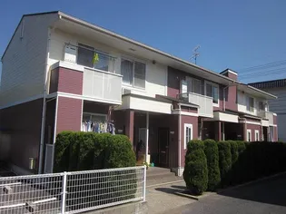 ブラウンシャトレーの画像