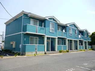 ルピナスK&Eの画像