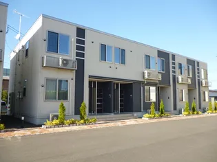 チエーロ ディーオ Aの画像