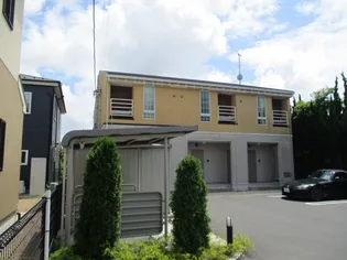 プリムローズの画像