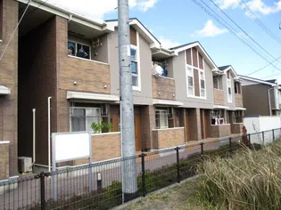 プランタン ソレイユDの画像