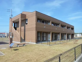 ディモア Tの画像