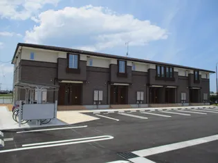 ハイビスカス Ⅱの画像