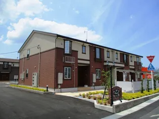 ハイビスカス Ⅰの画像