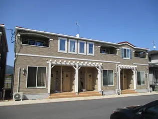 コスモスIの画像