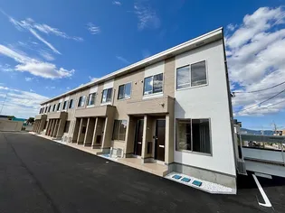 アンジェリーナの画像