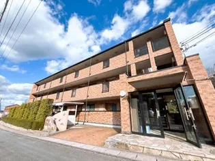 セゾン スワンの画像