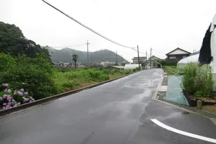 プラシード清水【2階】の周辺