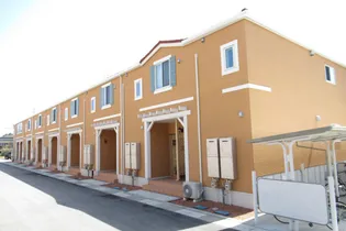 メディオ サルーテ Aの画像