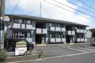 ディアオークの画像