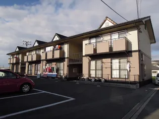 エバグリーンAの画像