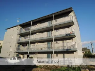 P&I伊島西ハイツの画像