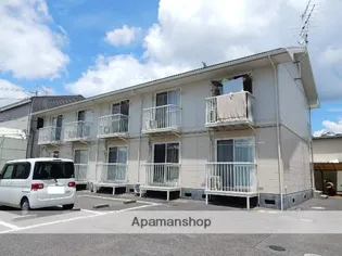 シャインの画像