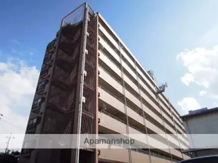 コスモハイツ関【8階】の外観