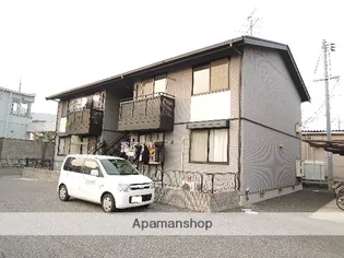 サンフラワーBの画像