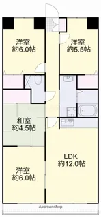 コニファープラザ新福【7階】の間取り