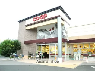 パルミラ浜【4階】の周辺