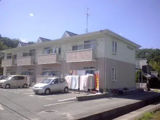 サンラッキーの画像