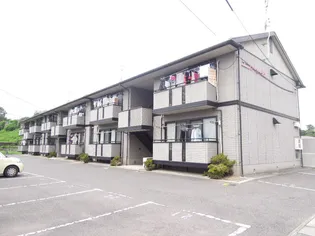 コニファーガーデン 1棟【2階】の外観