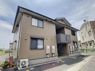 マイルド フナコシの画像