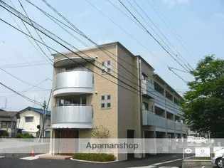 谷万成プリーモの画像