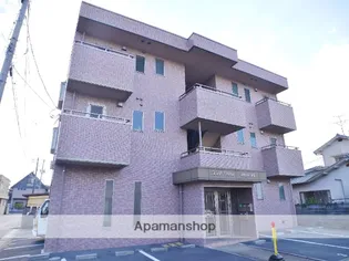 サウスシャインハヤシの画像