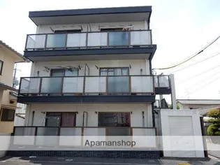 サンフラワーの画像