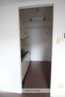 ツインパレスK【309号室】の内装