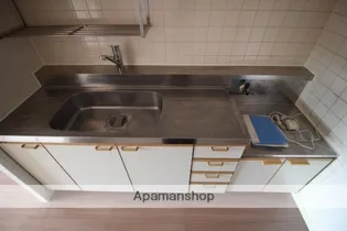 ツインパレスK【309号室】の内装