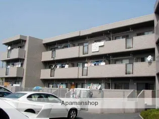 ツインパレスK【309号室】の外観