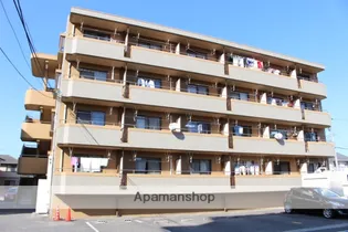 ロイヤルパレス林Ⅰ【4階】の外観