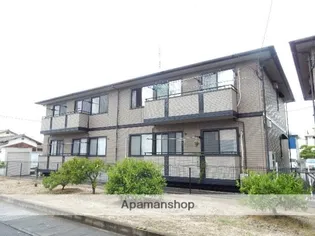 ルピナス21の画像