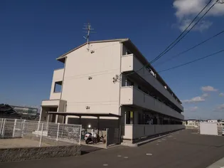 ホワイトローズの画像