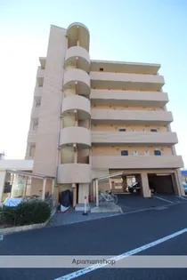 ラホヤハナクマの画像