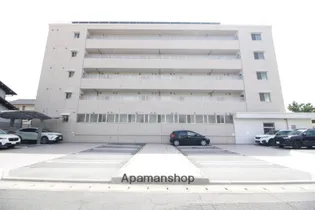 グリーンベアの画像