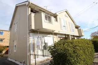 オネスティの画像