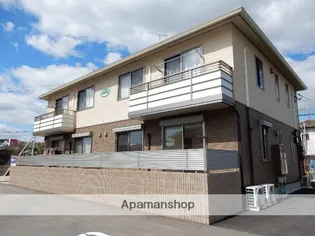 シャインの画像