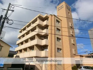 アミーゴ大供の画像
